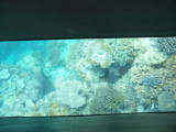 img0042.jpg