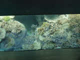 img0043.jpg