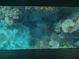 img0045.jpg