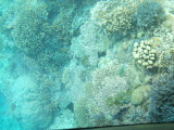 img0048.jpg