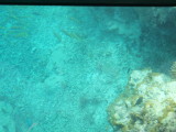 img0049.jpg