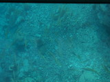img0050.jpg