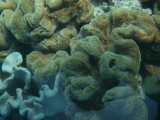 img0054.jpg