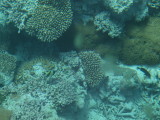 img0056.jpg