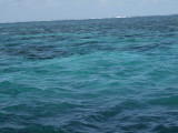 img0059.jpg