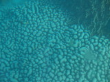 img0060.jpg