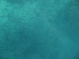 img0063.jpg