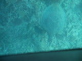 img0064.jpg