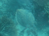 img0065.jpg