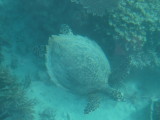 img0066.jpg