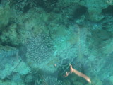 img0067.jpg