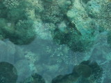 img0070.jpg