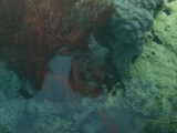 img0073.jpg