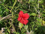 img0078.jpg