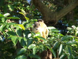 img0087.jpg