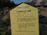 img0095.jpg