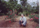 img0019.jpg