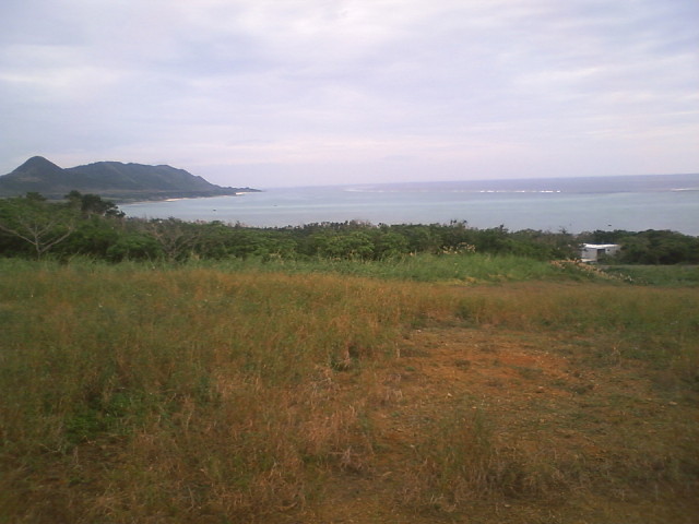 img0016.jpg
