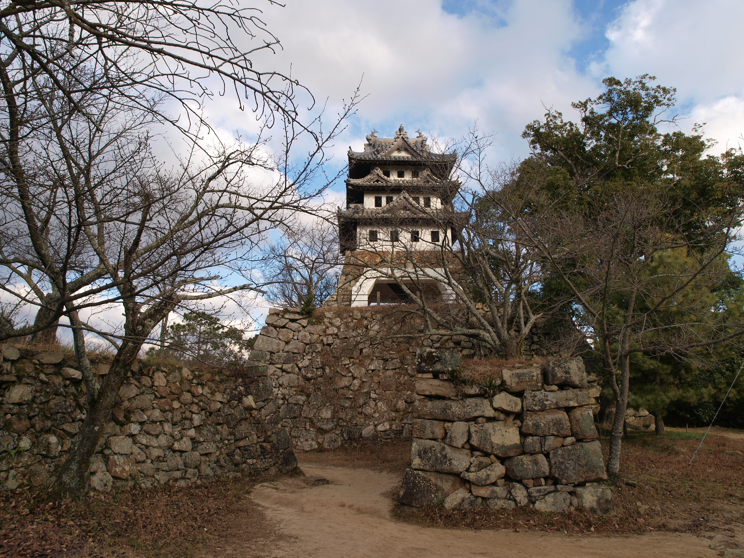 P1012653.JPG