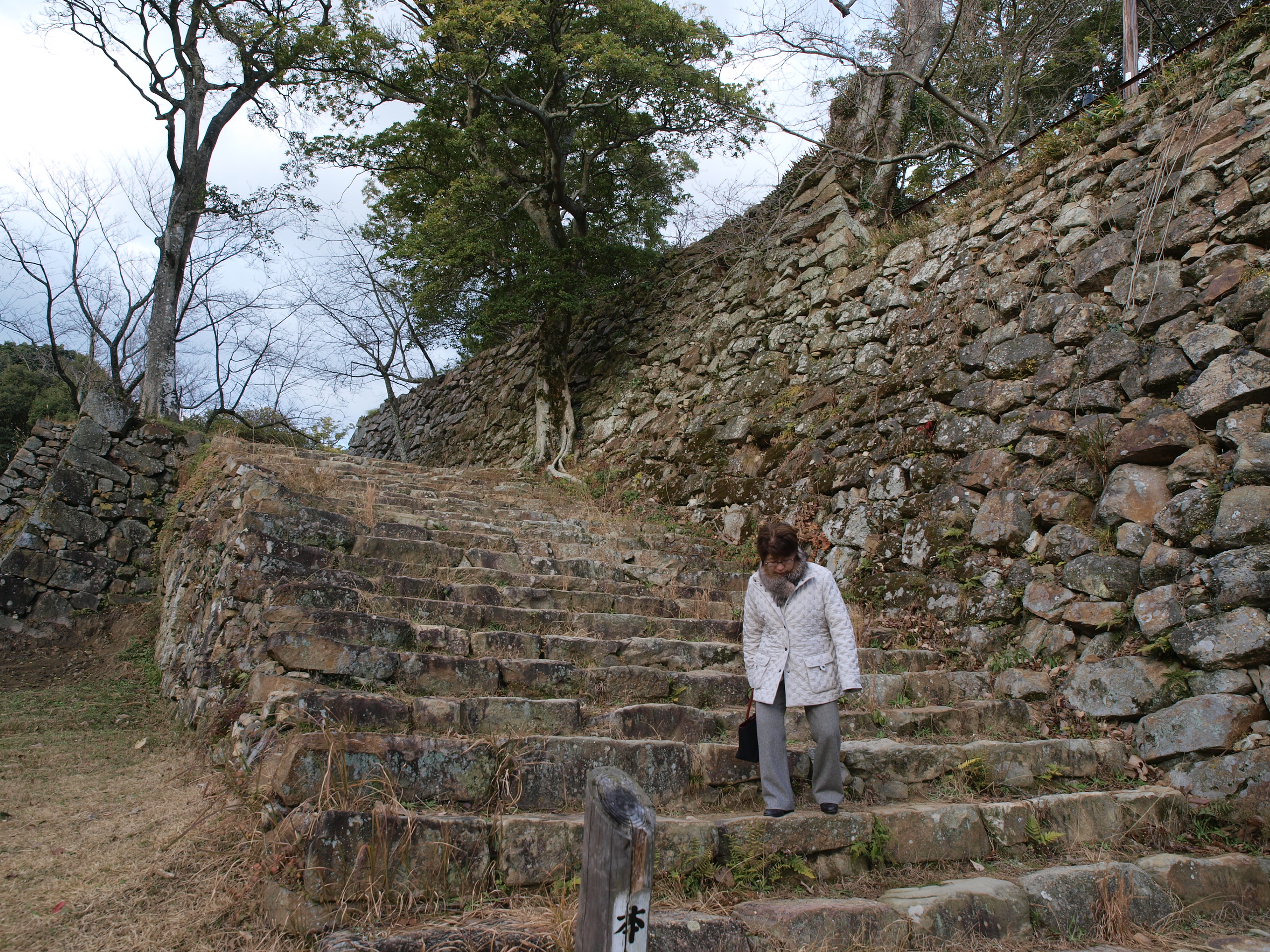 P1012654.JPG
