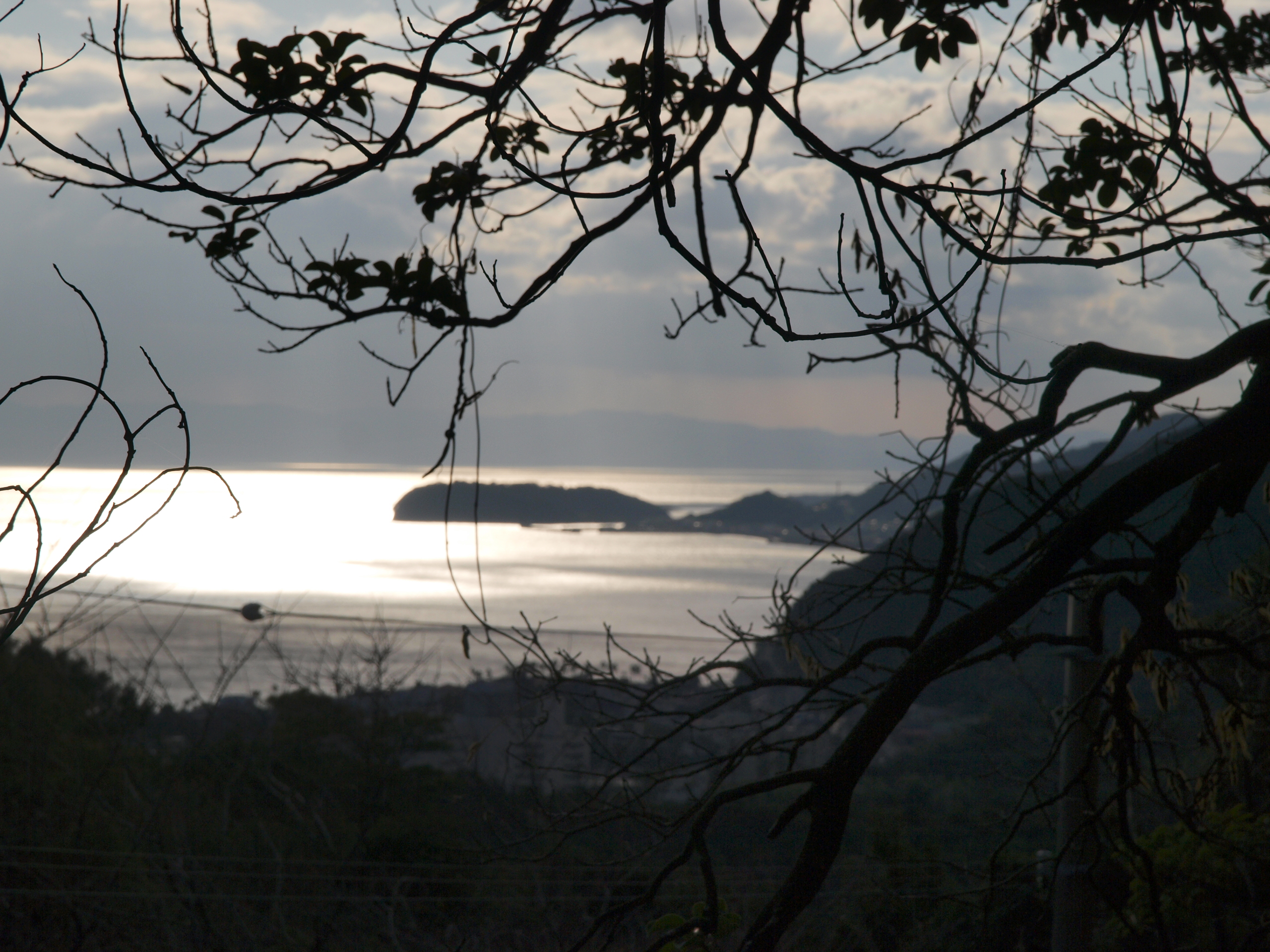 P1012656.JPG