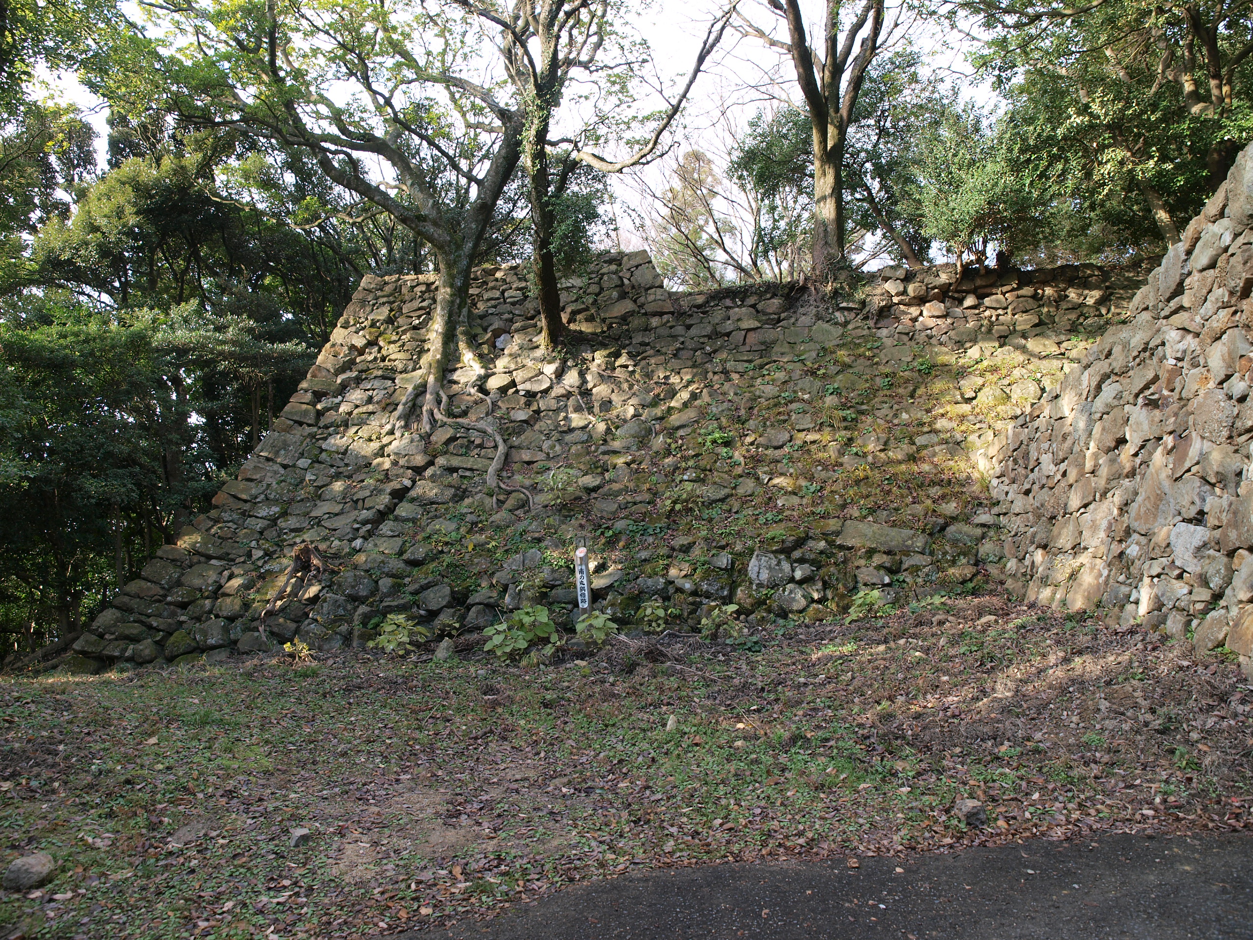 P1012657.JPG