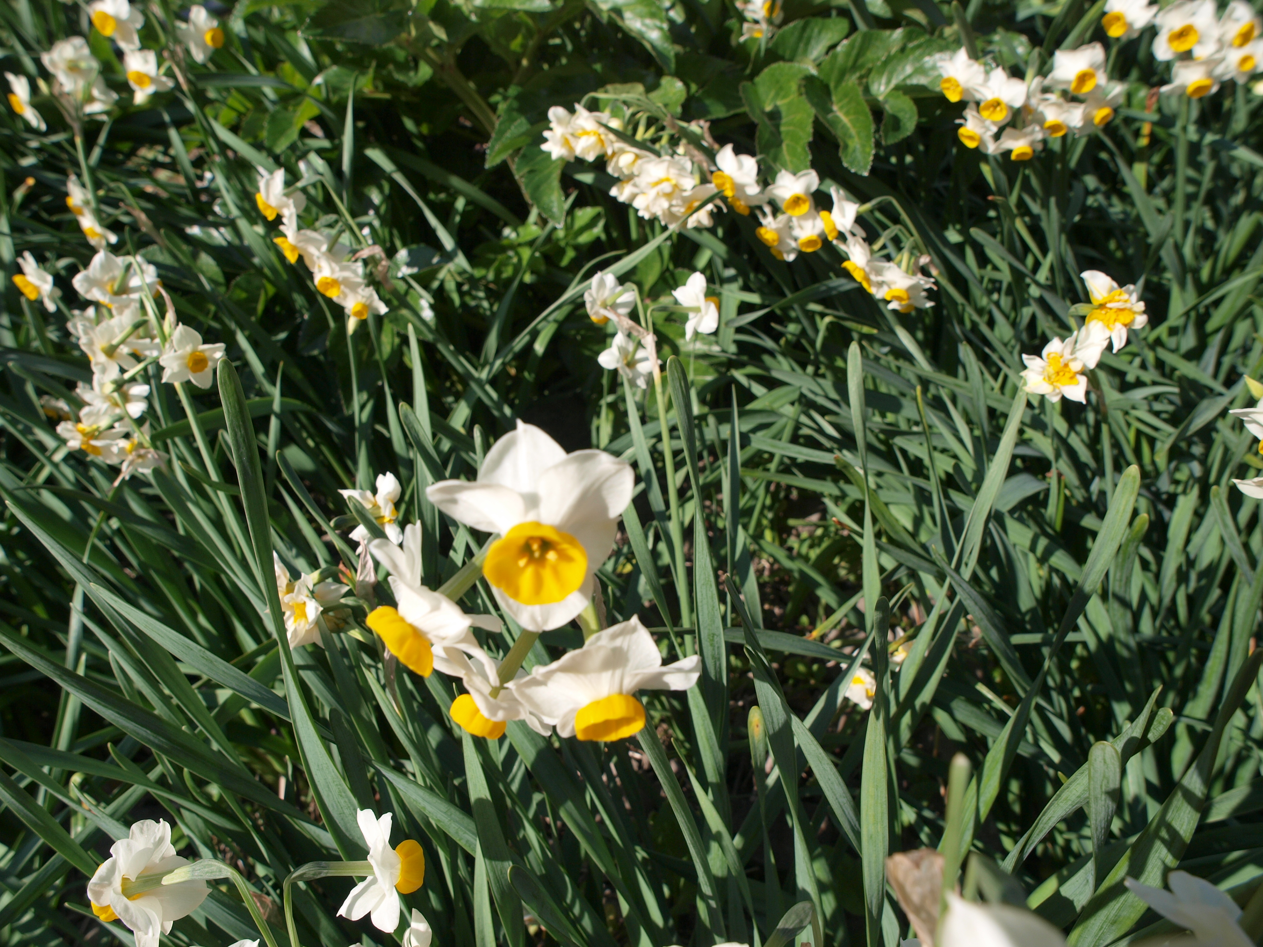 P1012660.JPG