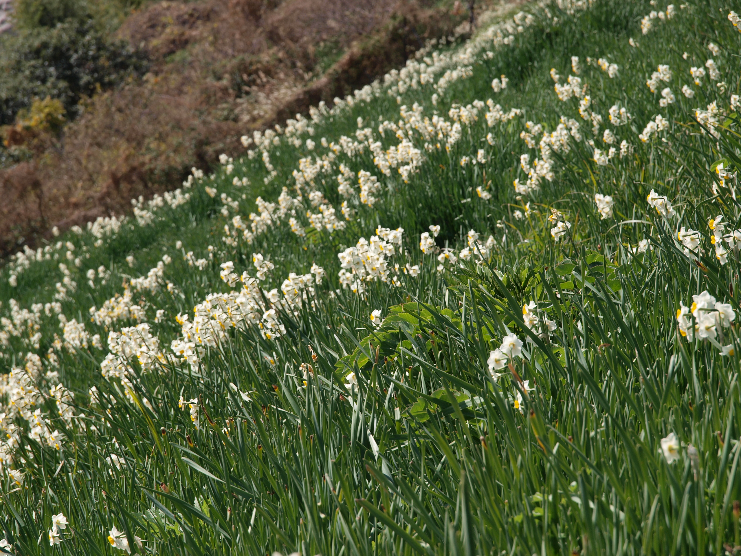 P1012670.JPG