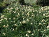 img0078.jpg