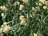 img0079.jpg