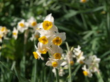 img0080.jpg
