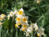img0081.jpg