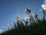 img0083.jpg