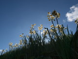 img0084.jpg