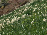 img0087.jpg