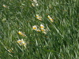 img0088.jpg