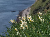 img0089.jpg