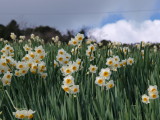 img0099.jpg