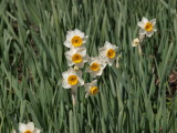 img0101.jpg