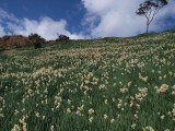 img0105.jpg