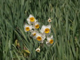img0111.jpg