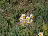img0112.jpg