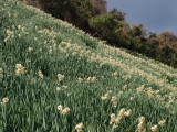 img0113.jpg