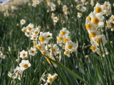img0115.jpg