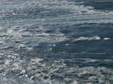 img0120.jpg