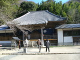 img0045.jpg