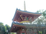 img0090.jpg