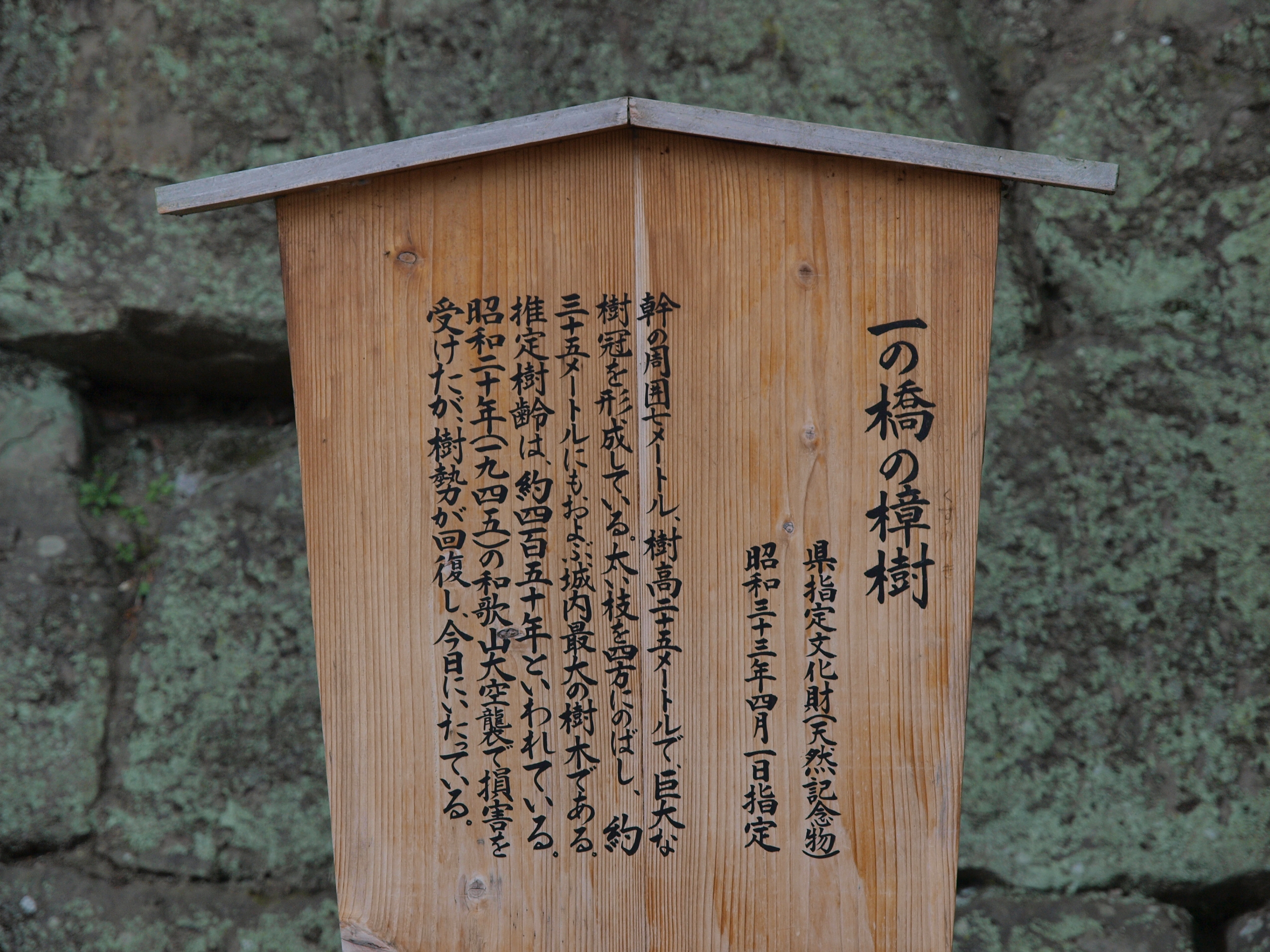 P1112738.JPG