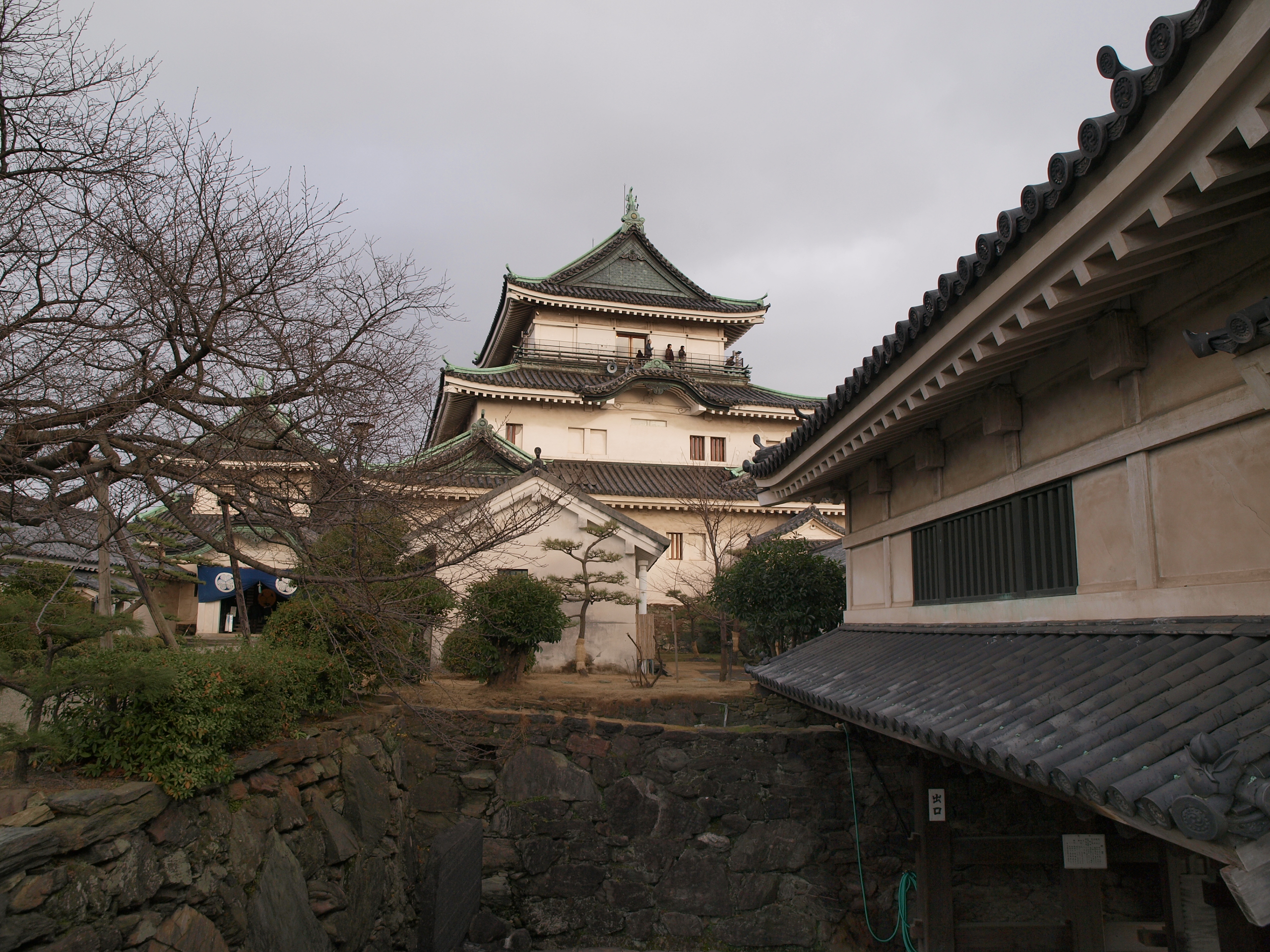 P1112741.JPG