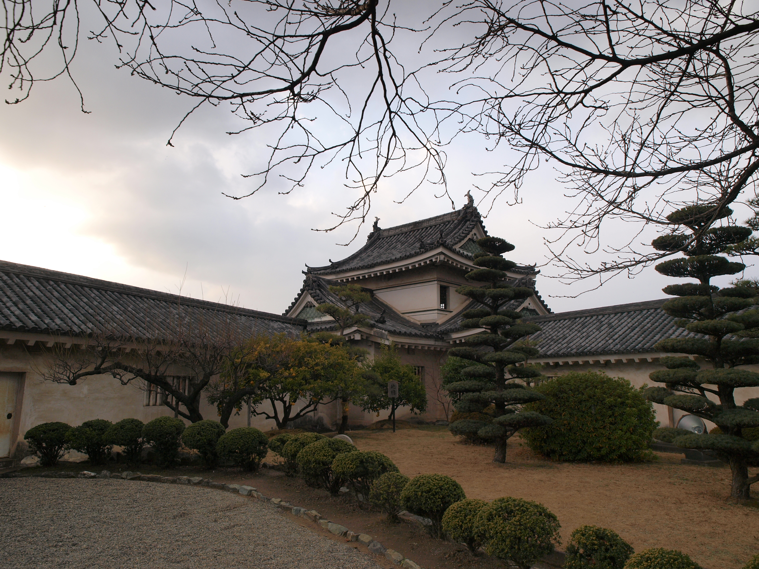 P1112742.JPG